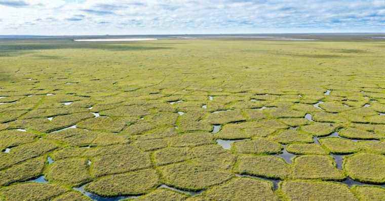 Les feux de forêt creusent des trous crachant du carbone dans l’Arctique