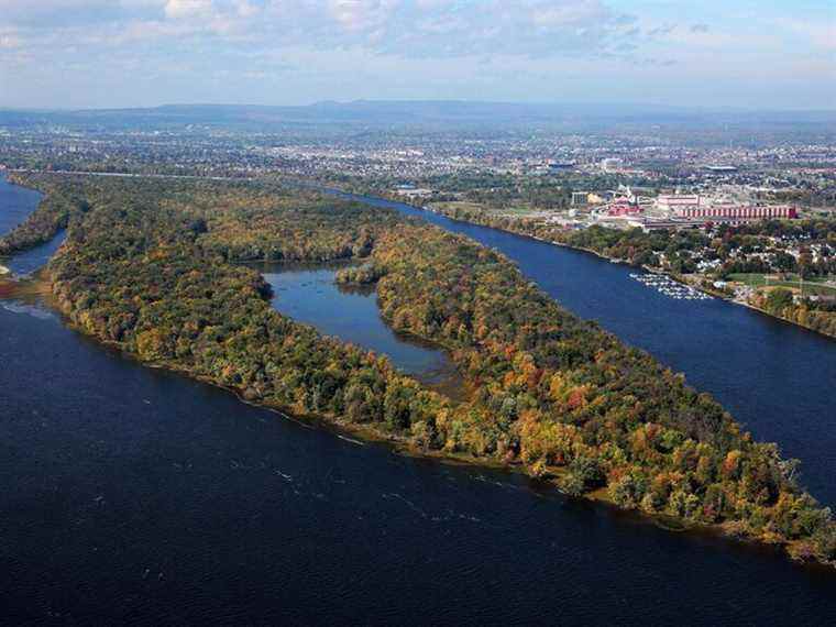 Kelly McParland : le pont anti-climat d’Ottawa pour les bureaucrates