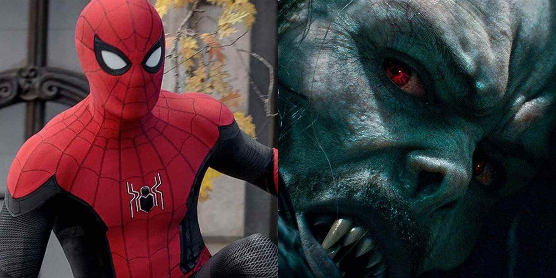 Spider-Man: No Way Home n'a pas vraiment éclairci ce qui se passait avec Morbius
