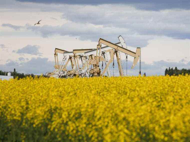 Tenez-vous en aux petites actions canadiennes de pétrole et de gaz cette année : Eric Nuttall