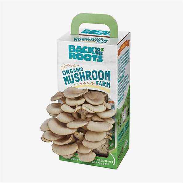 Retour au kit de culture de champignons biologiques Roots