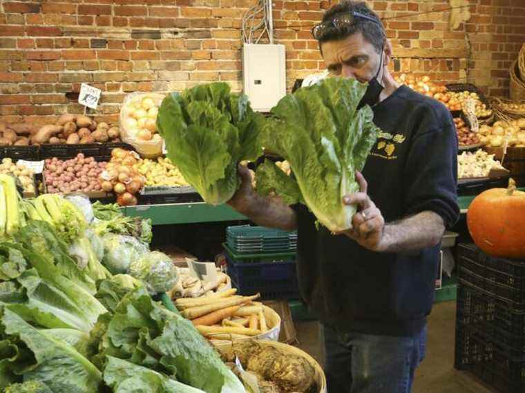 Les Canadiens s’inquiètent davantage de l’inflation élevée depuis des décennies que des hausses de taux