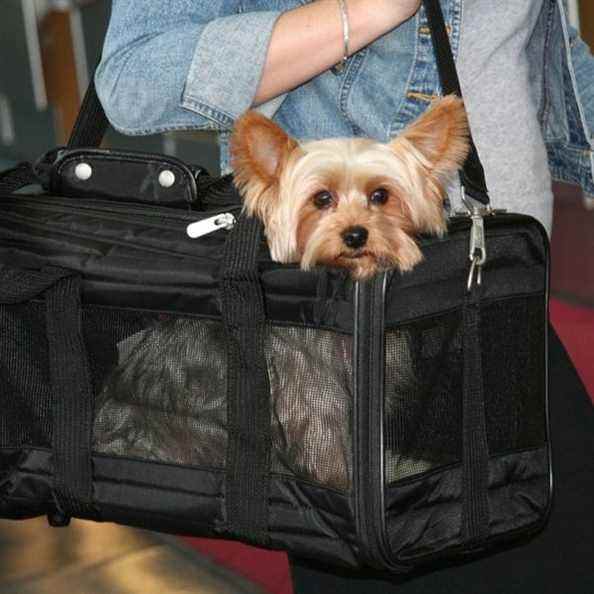 Sherpa Original Deluxe Pet Carrier