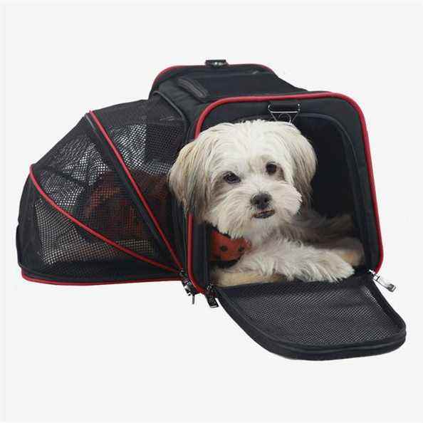 Porte-chien de voyage extensible Petsfit avec tapis en polaire