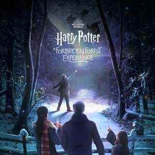Harry Potter : Une expérience de forêt interdite