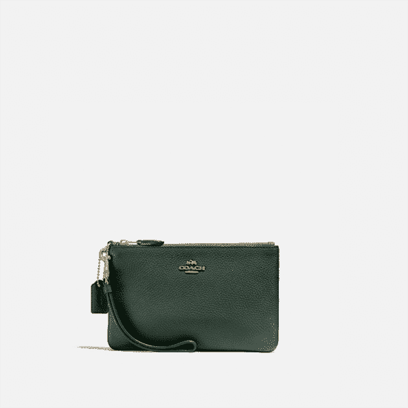 Petit bracelet Coach (Vert Amazon)