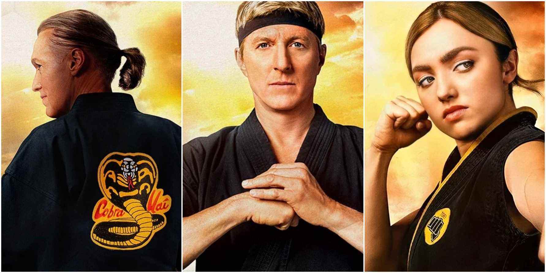 Cobra Kai : 10 meilleurs combattants
