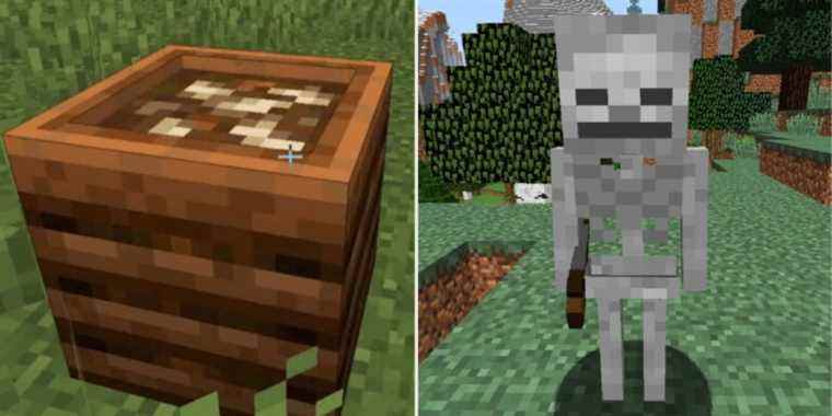 Minecraft : Comment obtenir de la farine d'os (et à quoi cela sert-il)
