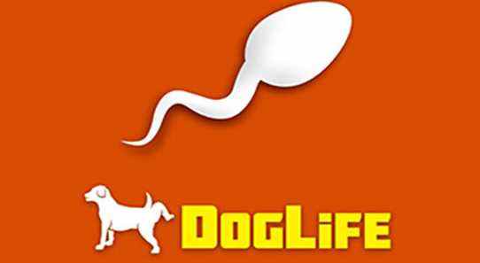 DogLife Feature Image