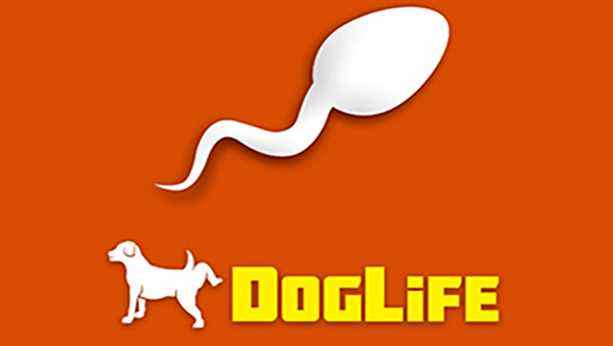 DogLife Feature Image