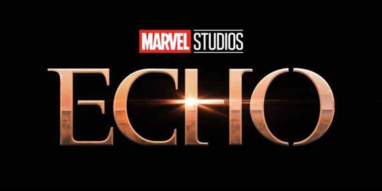 Echo Series ajoute les écrivains Daredevil et The Punisher à l'équipe
