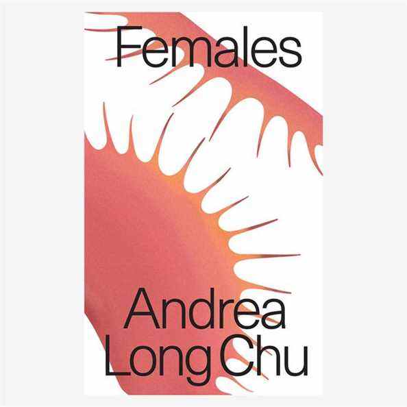 Andrea Long Chu, 