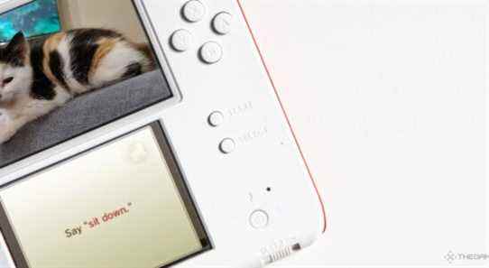 Nintendogs + Cats ne m'a pas préparé à la réalité de posséder des chatons