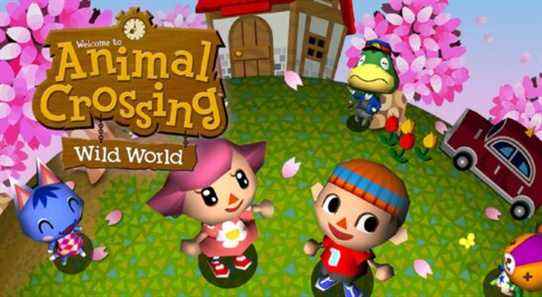 Un joueur achète une copie d'occasion d'Animal Crossing: Wild World et trouve un message hilarant