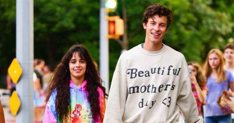 Quels détails Shawn Mendes et Camila Cabello ont-ils donné sur leur rupture ?
