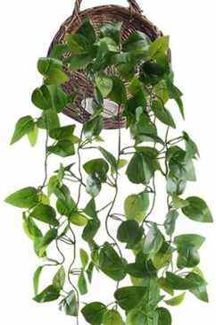 Faux pothos suspendus Huaesin