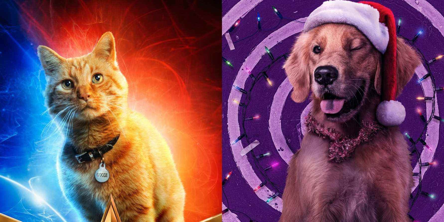 Chiens de pizza et fourmis géantes: les meilleurs animaux de compagnie du MCU
