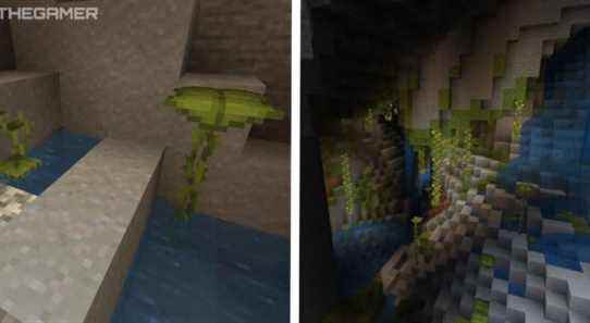 Minecraft: Comment obtenir un Dripleaf