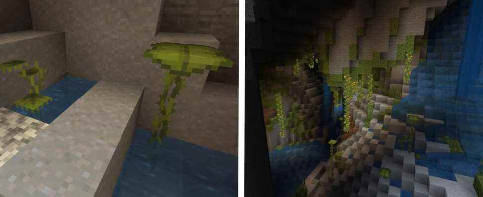 Minecraft: Comment obtenir un Dripleaf