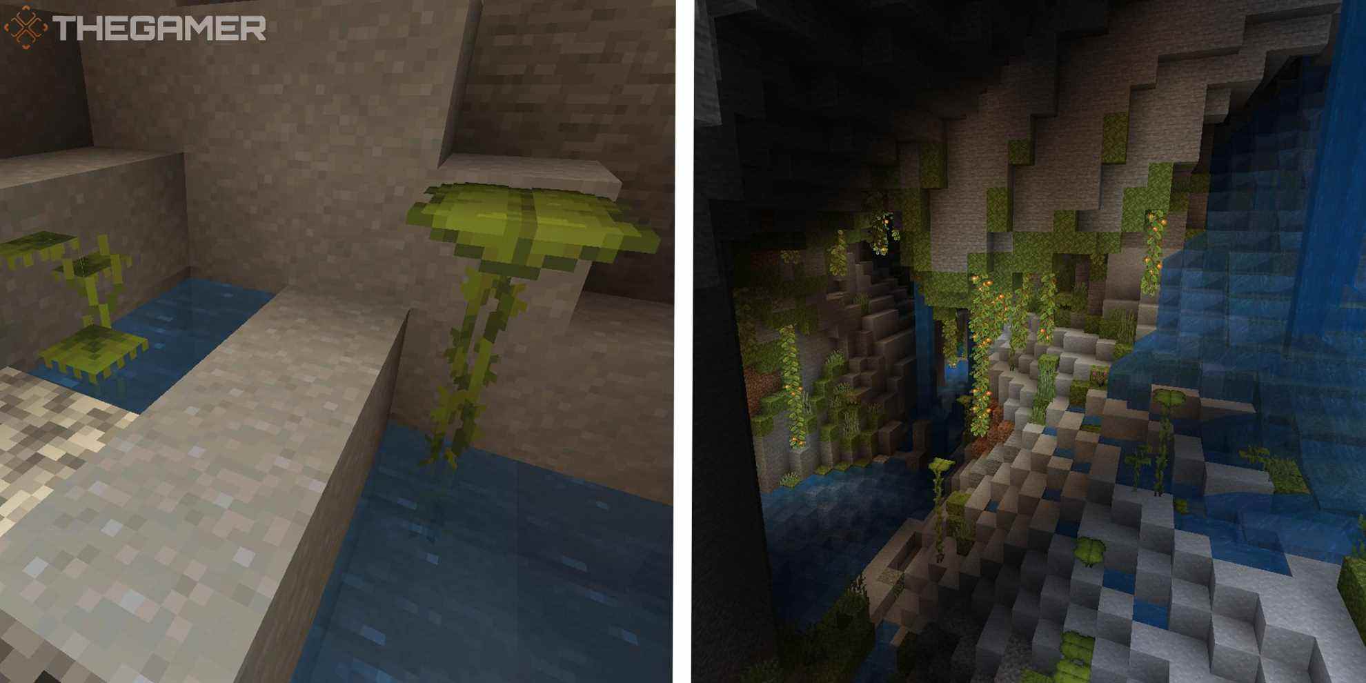 Minecraft: Comment obtenir un Dripleaf
