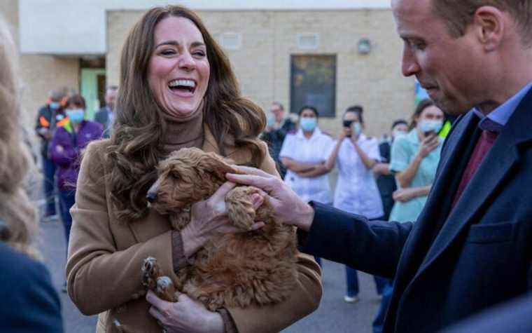 La duchesse de Cambridge confirme ‘cockapoo’ comme la couleur chic à porter en 2022