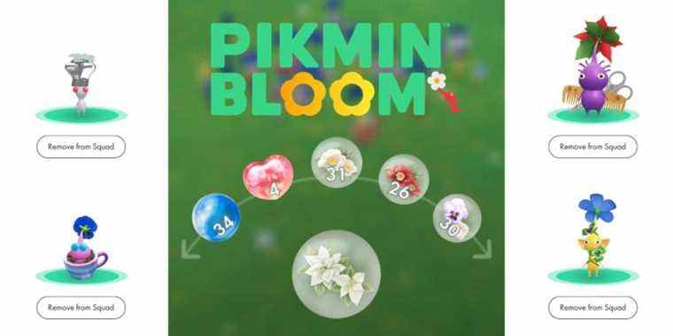 La journée communautaire de janvier 2022 de Pikmin Bloom montre une amélioration, mais n'est pas parfaite
