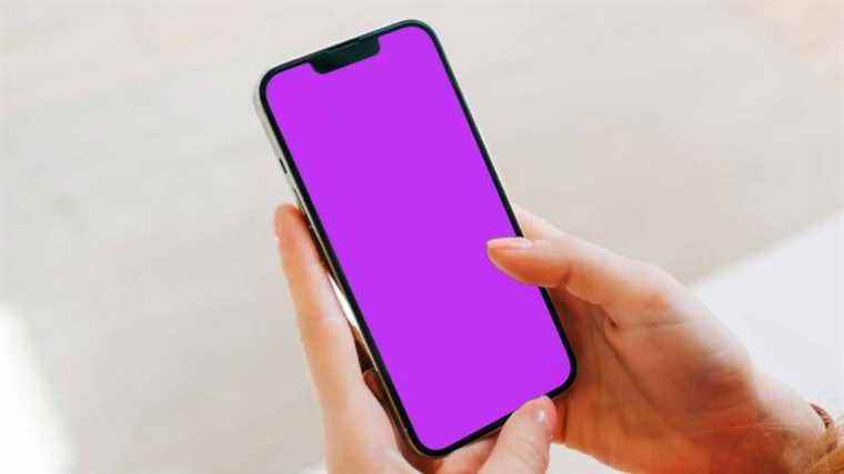 Bogue de l’écran rose de l’iPhone 13 signalé par les utilisateurs – ce qu’Apple fait à ce sujet