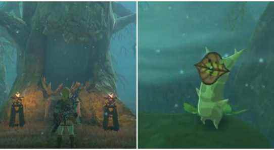 Procédure pas à pas de Breath Of The Wild: Trial Of Second Sight