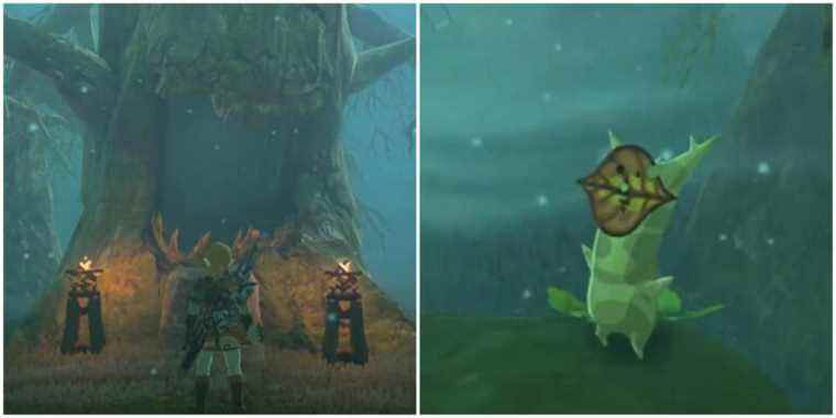 Procédure pas à pas de Breath Of The Wild: Trial Of Second Sight
