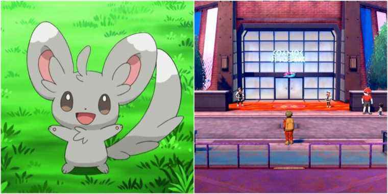 Pokemon Sword & Shield: où trouver le Minccino manquant
