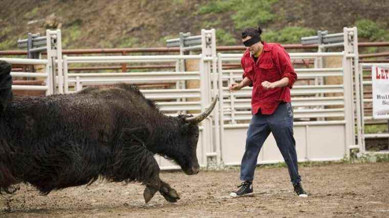 PETA dit aux cinéphiles de "rester à l'écart" de Jackass pour toujours en raison des scènes de "tourment animal"
