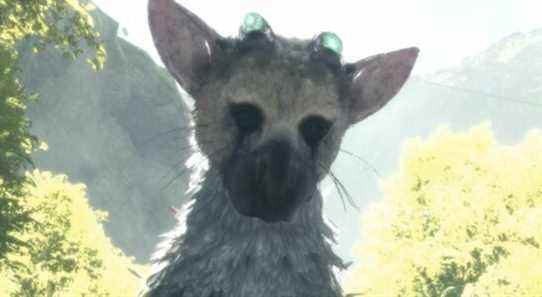 The Last Guardian est l'une des plus belles représentations d'amitié du jeu