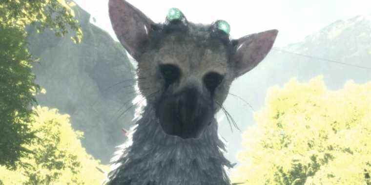 The Last Guardian est l'une des plus belles représentations d'amitié du jeu
