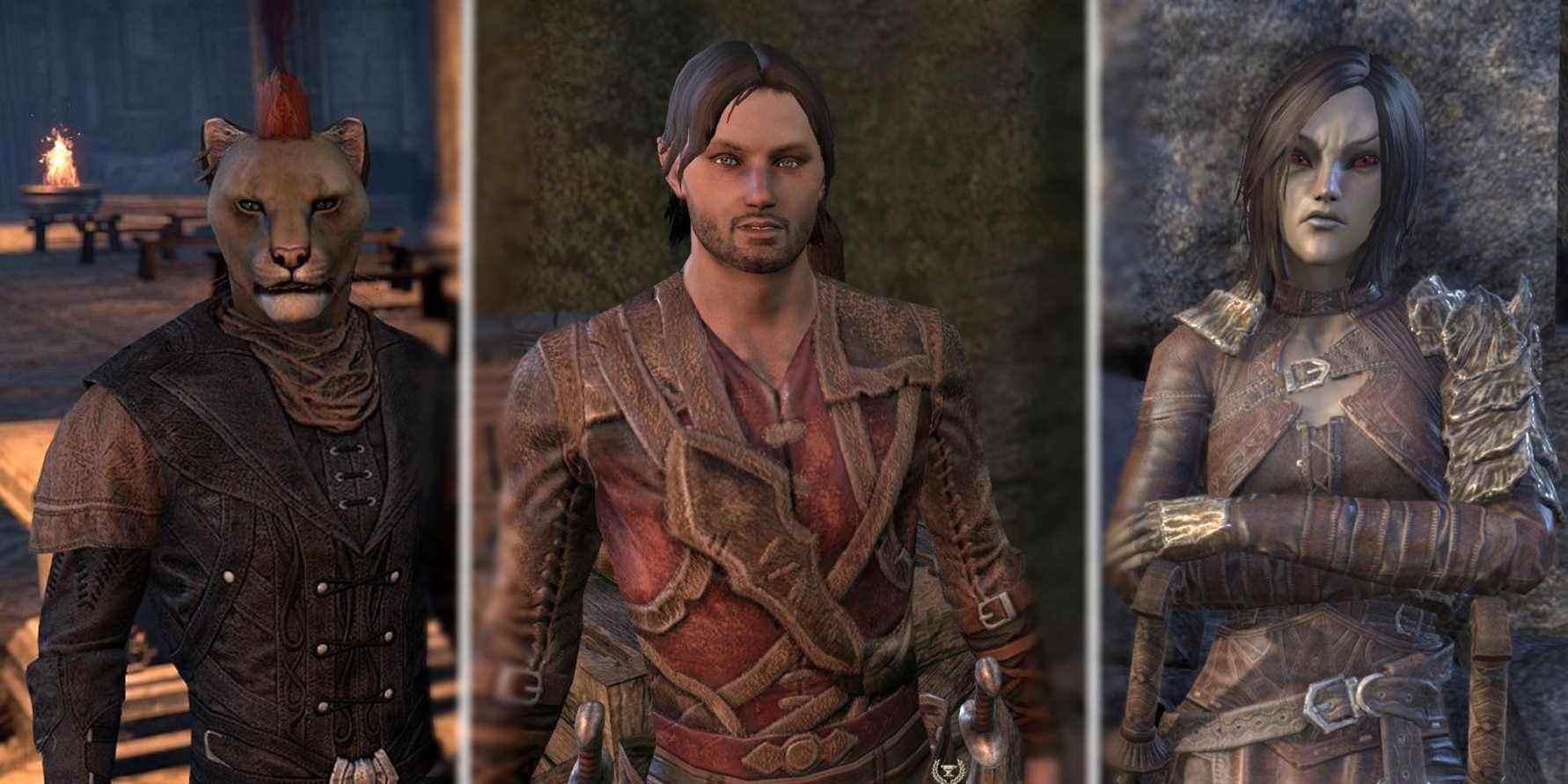 Elder Scrolls Online : les PNJ qui devraient revenir pour le prochain chapitre
