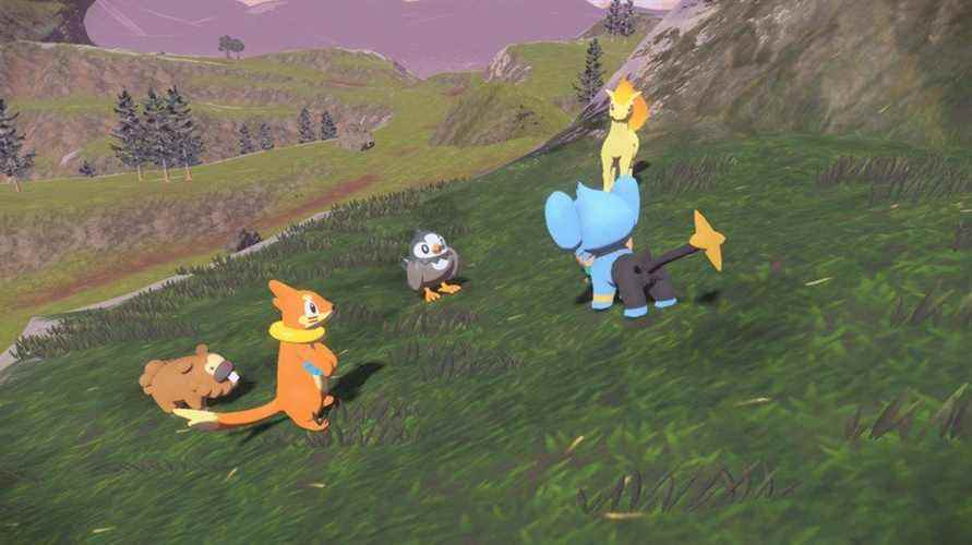 Shinx n'est pas du tout d'accord avec les pensées de Ponyta...