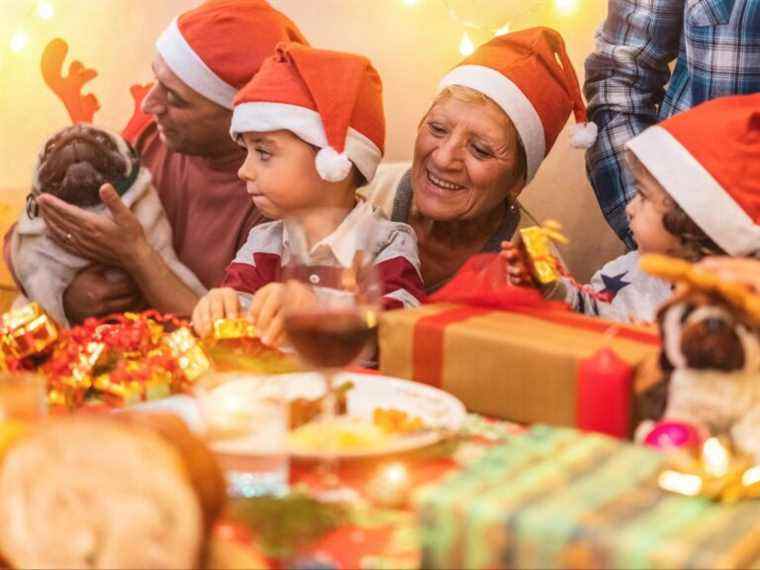 DEMANDEZ À AMY : Les amoureux des chiens amènent des bébés en fourrure au dîner de Noël