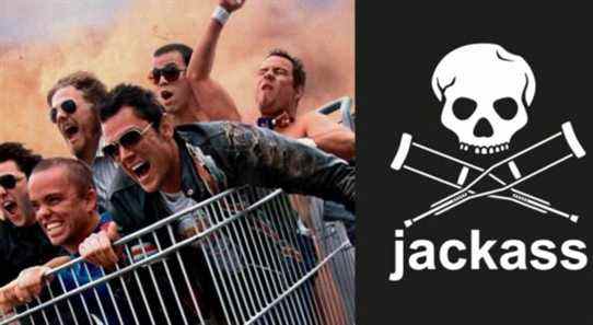 Les 8 meilleures cascades Jackass de tous les temps