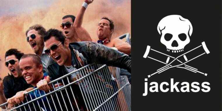 Les 8 meilleures cascades Jackass de tous les temps
