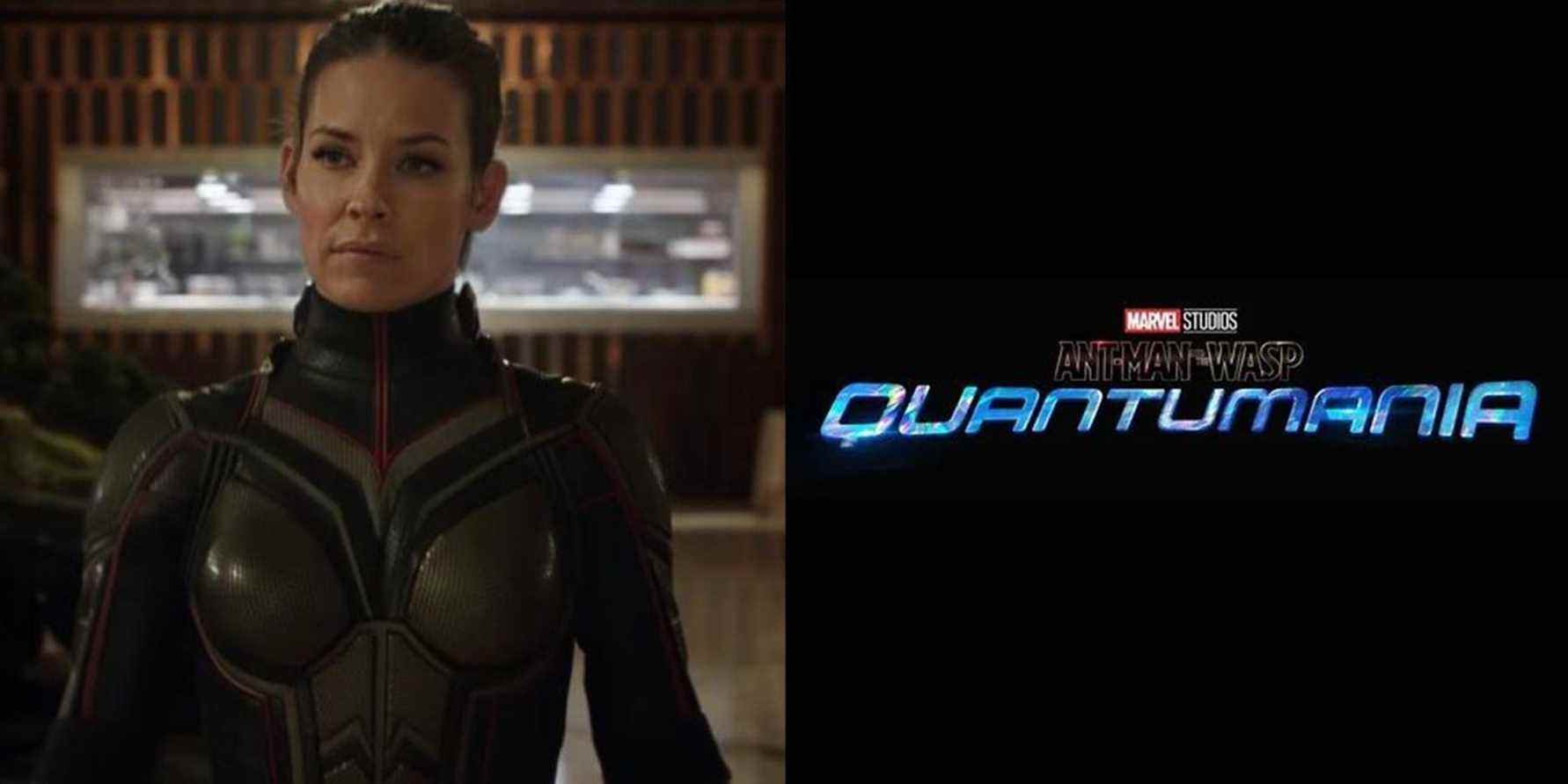 Evangeline Lilly croit qu'Ant-Man et la guêpe: Quantumania est le «meilleur à ce jour»
