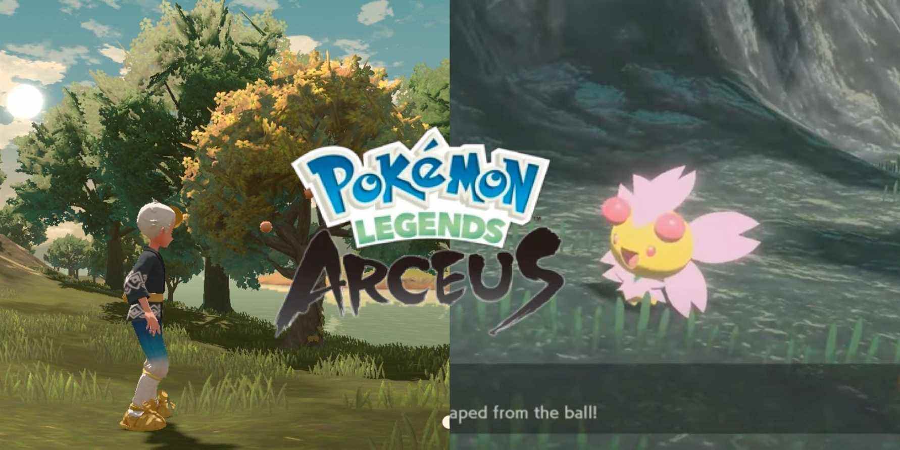 Pokemon Legends: Arceus - Emplacements Cherrim (Demande 17)
