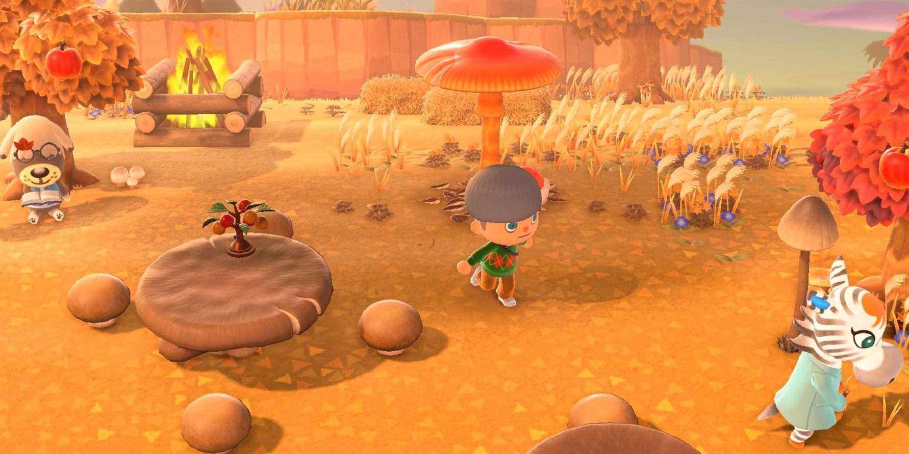 Animal Crossing: le support de New Horizons se termine pendant la durée de Pocket Camp
