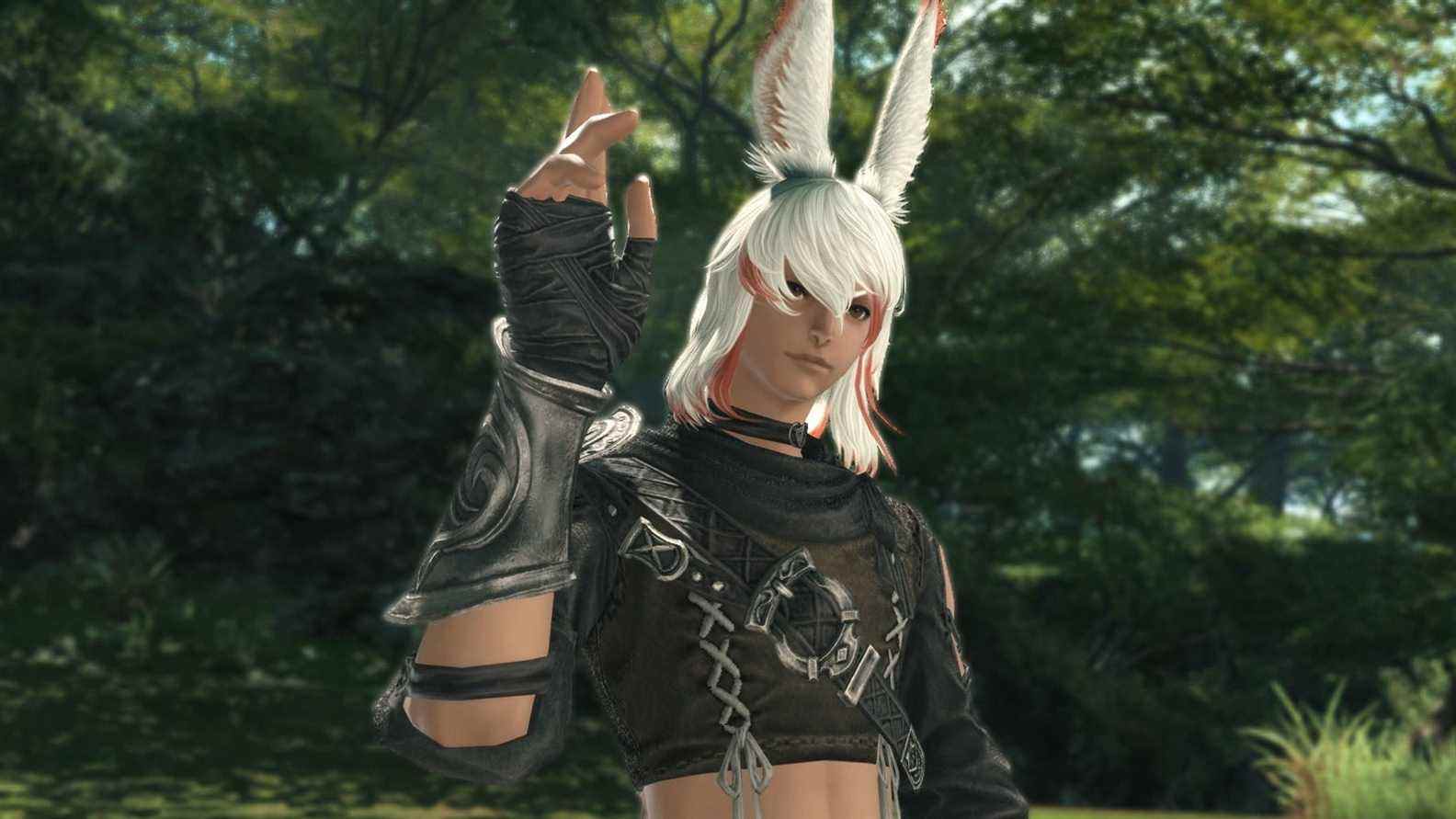     Après s'être remis du succès, Final Fantasy 14 est de retour en vente

