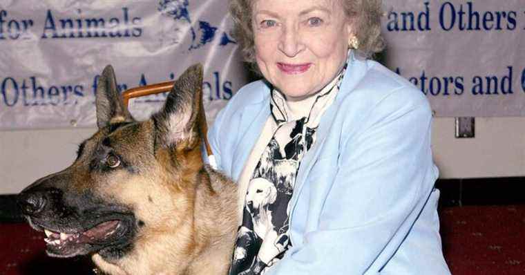 Betty White Challenge permet aux fans d’honorer la défunte star et son amour des animaux