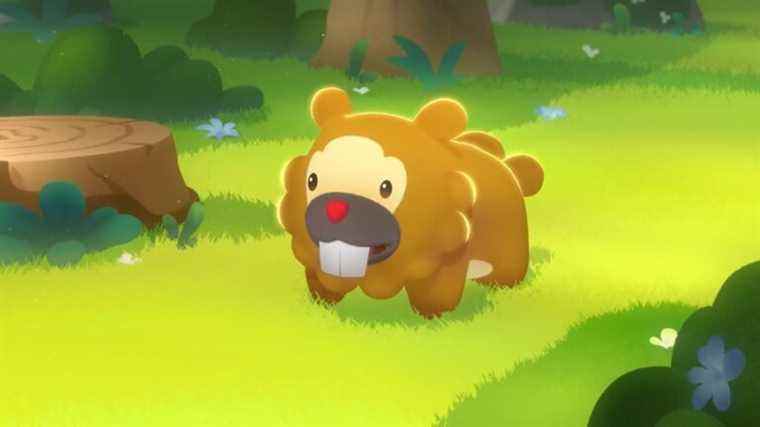 Bidoof’s Big Stand est un nouveau court métrage de The Pokemon Company