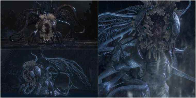 Bloodborne: Ebrietas, fille du guide du cosmos
