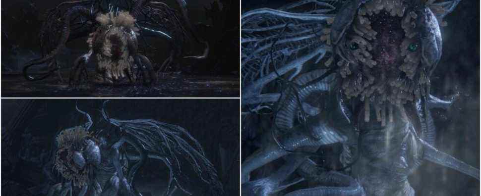 Bloodborne: Ebrietas, fille du guide du cosmos