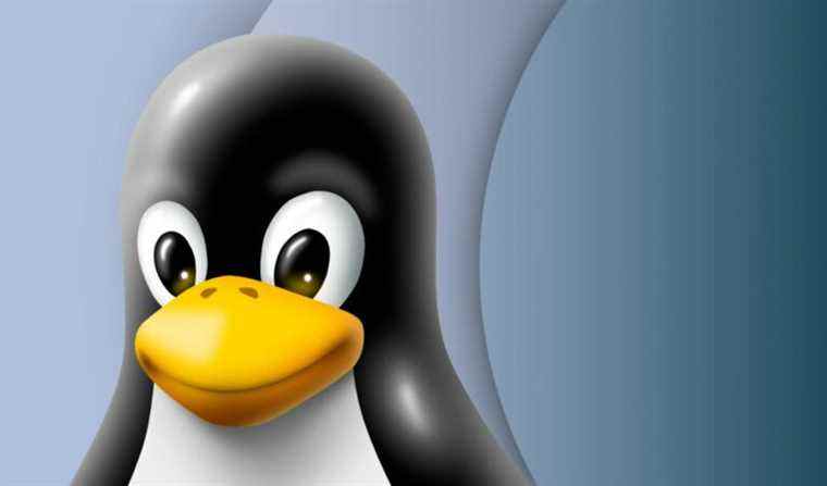 Ces bogues de sécurité critiques exposent les serveurs Linux à un risque d’attaque