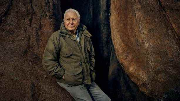 Comment regarder The Green Planet en ligne gratuitement: regardez la dernière émission de David Attenborough de n’importe où