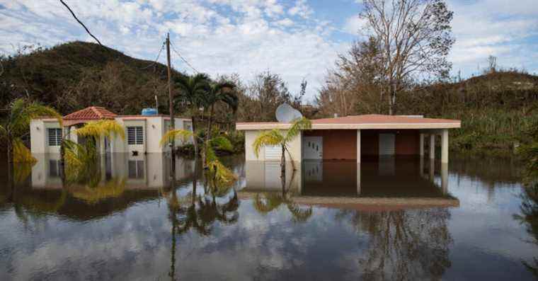 Dans « Velorio », les survivants de l’ouragan forment une nouvelle société.  Ce n’est pas le paradis.