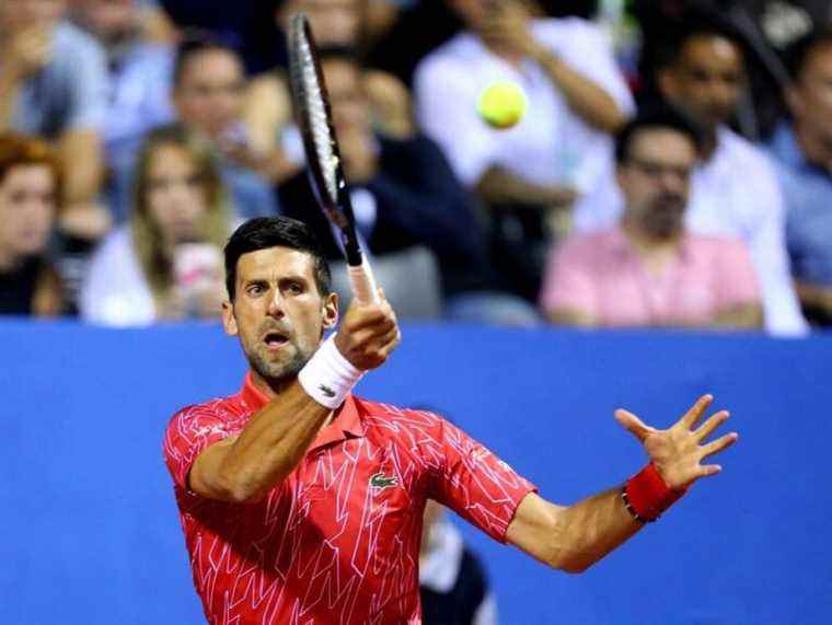 Djokovic devrait revenir le mois prochain à Dubaï